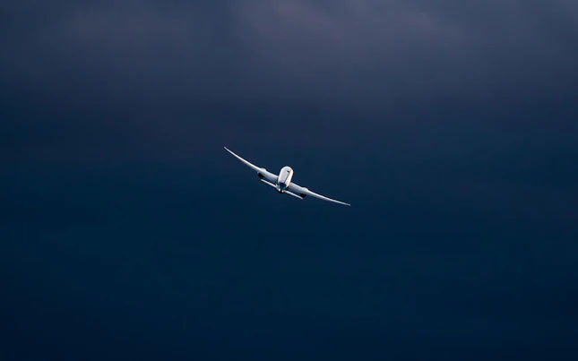 Light Trails in the City at Night